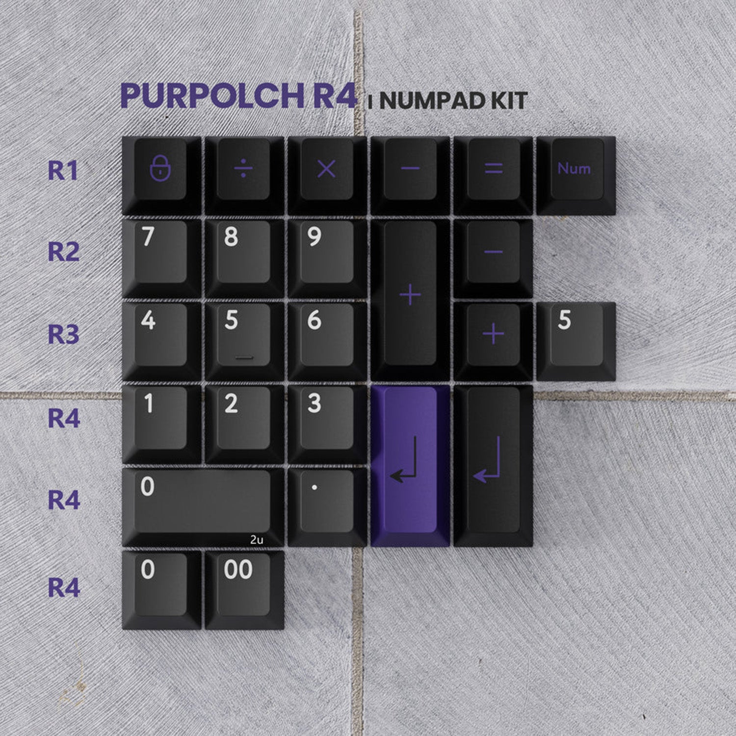 [Preorder] PBTfans Purpolch R4