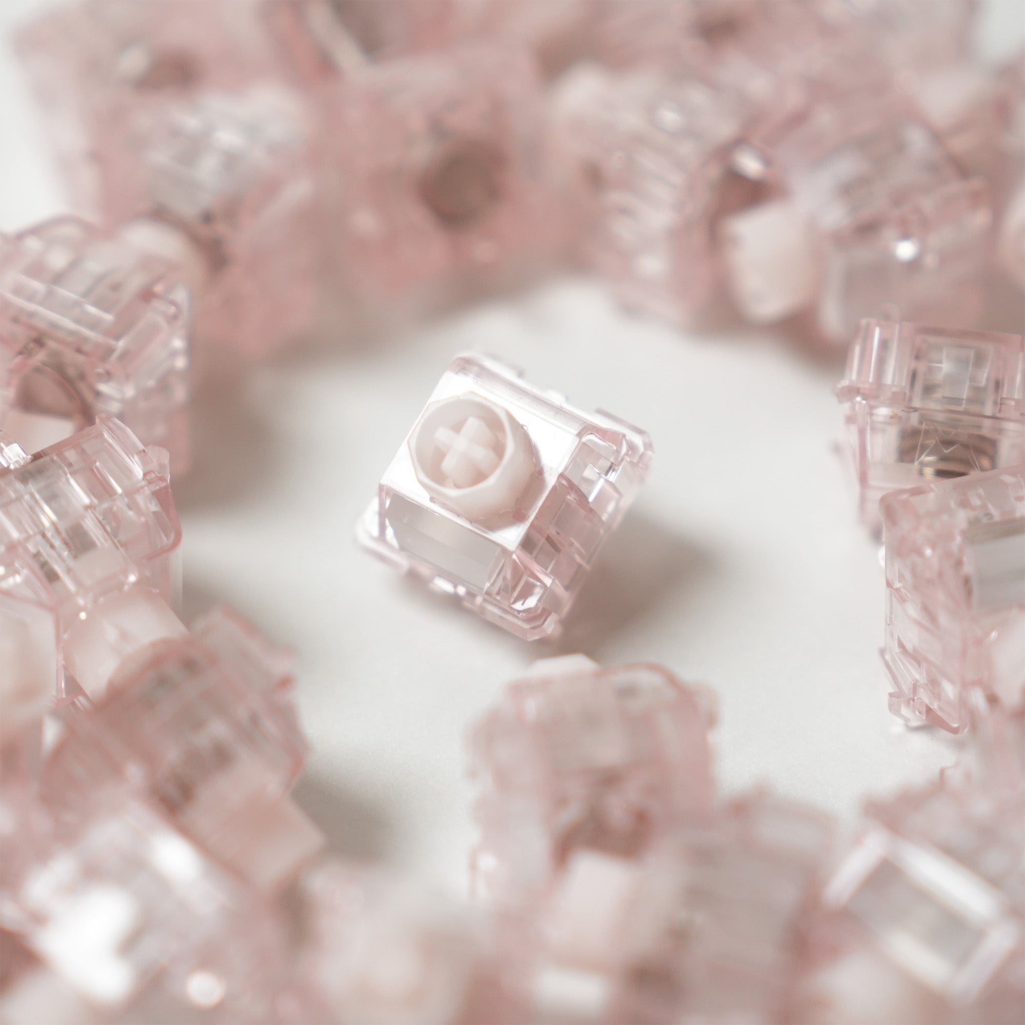 WS Flux Pink Lotus HE Switches