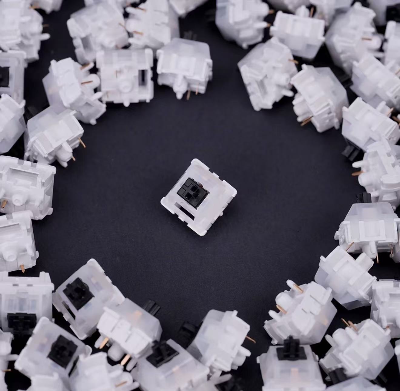 Bsun Tiny Bear Linear Switches