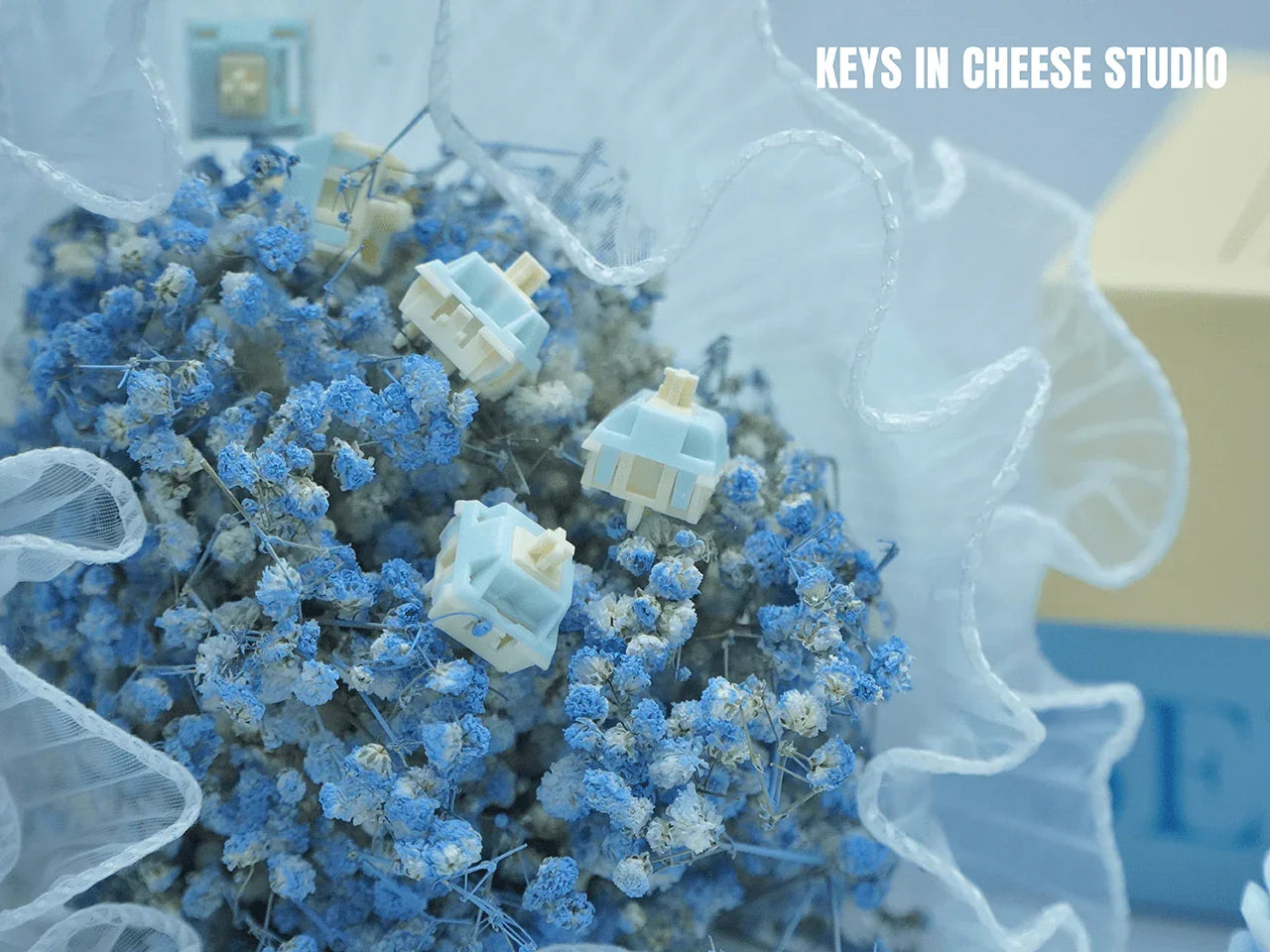 Blue Cheese Switch - KeyBay Tech