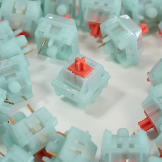 Coral Switch - KeyBay Tech